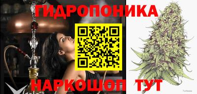 ALPHA PVP Боровичи
