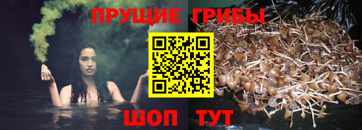 продажа наркотиков  Псилоцибиновые грибы Magic Shrooms  Галлюциногенные грибы Psilocybine cubensis  Вход с VPN  Альметьевск 